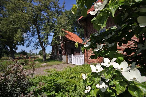 Landgasthof Zur Heideschenke Ξενοδοχείο Wolthausen Εξωτερικό φωτογραφία